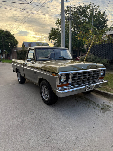 F100 1980