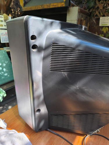 Televisor Triniton Kv-21rs20c/7 Sony (Usado)