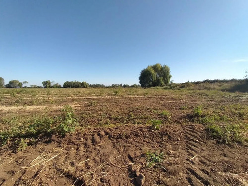 Terreno Agrícola En Venta, Campo De 60 Ha, Teno