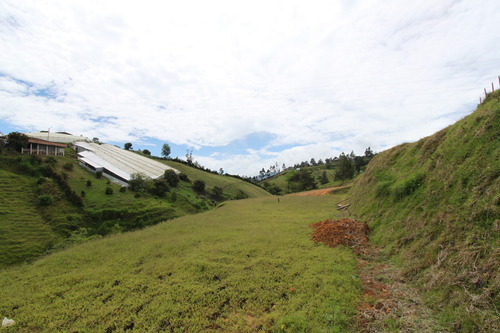 Lotes En Marinilla, Vereda La Esperanza