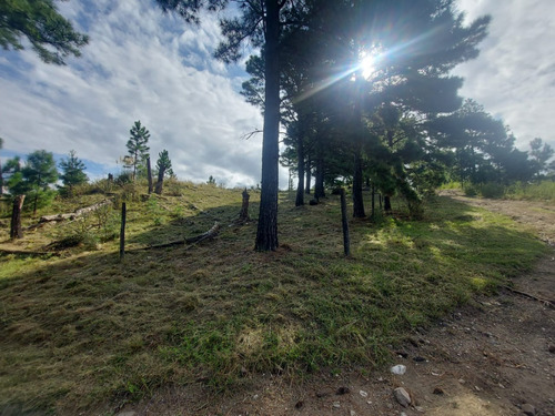 Excelente Oportunidad! Terreno De 11.082mts2 C/agua Vertiente Permanente, Arboleda Autóctona, Ideal Complejo Turístico. Escrituración Inmediata!!