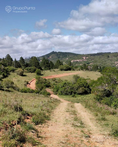 Imagen 12 de 15 de Chacras Financiadas En Minas Lavalleja
