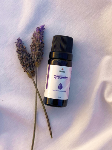 Óleo Essêncial De Lavanda Dentata 10ml - La Janda
