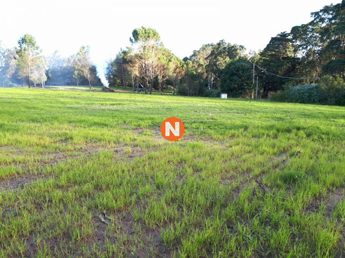 Imagen 4 de 5 de Terreno En En Rincon Del Indio - Punta Del Este - Punta Del Este Rincón Del Indio