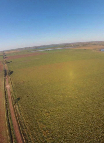 Imagen 5 de 8 de Se Vende Campo De 406 Has, En Embajador Martini, La Pampa