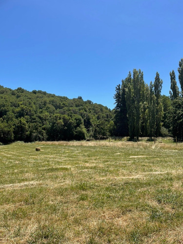Imagen 4 de 10 de Parcela En Yumbel De 15.000m2