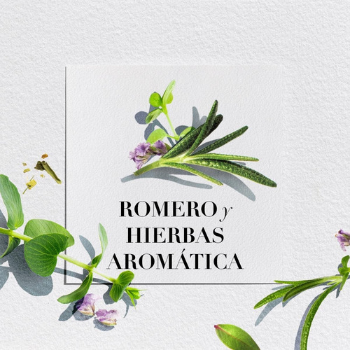 Acondicionador Bíorenew Romero/hierbas 400ml Herbal Essences