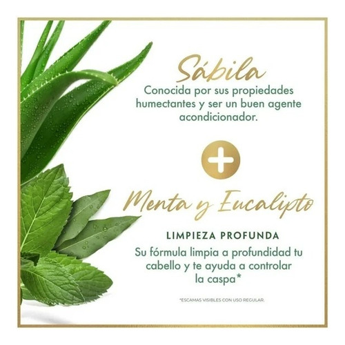 Shampoo Savilé Control Caspa Menta/eucalipto 180 Ml 6 Pack**