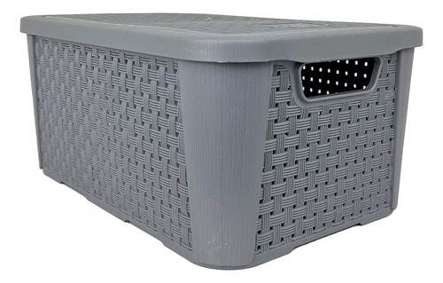 Cesto/caixa Organizadora 6l Rattan - Plasnew