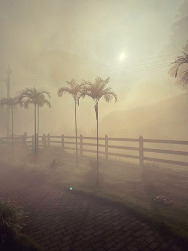Imagem 7 de 15 de Fazenda, Para Venda Em Fervedouro/mg - Coffeefarm730