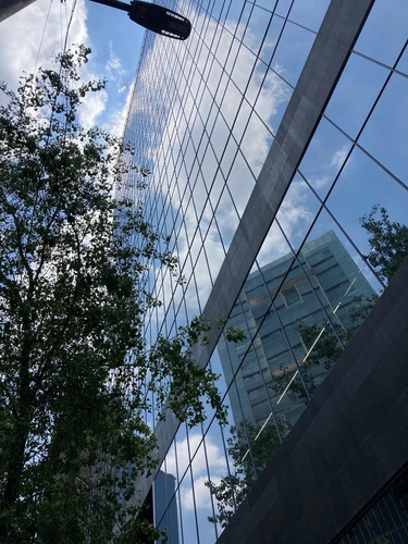 Oficina En Venta Acondicionada, Yama Insurgentes Reforma