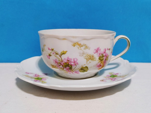 Taza Para Té Porcelana Czechoslovakia M Z Altrohlau