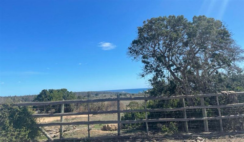 Parcelas En Algarrobo Terrenos De 5 Hectáreas Rol Propio