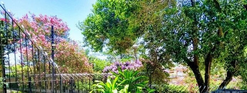 Imagem 15 de 15 de Sobrado Com 3 Dormitórios À Venda, 220 M² Por R$ 730.000,00 - Jardim Marisa - São Paulo/sp - So1522