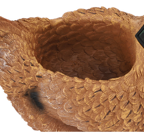 Solar De Resina Con Forma De Maceta De Gallina, Suculenta, C