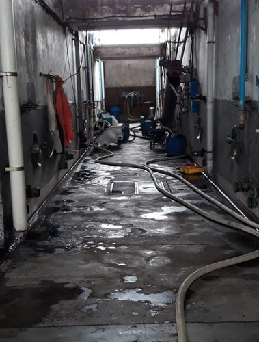 Imagen 5 de 9 de Bodega - Palmira