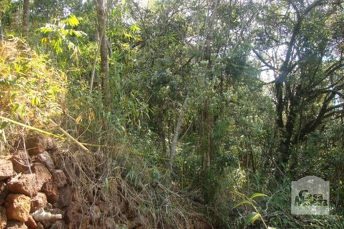 Imagem 3 de 10 de Lote Em Condomínio À Venda No Arvoredo - Código 218875 - 218875