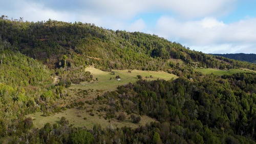 Imagen 15 de 22 de Campo De 42ha Estaquilla - Los Muermos