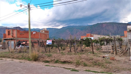 Imagen 4 de 11 de Lote En Venta O Permuta B° El Tránsito Cafayate