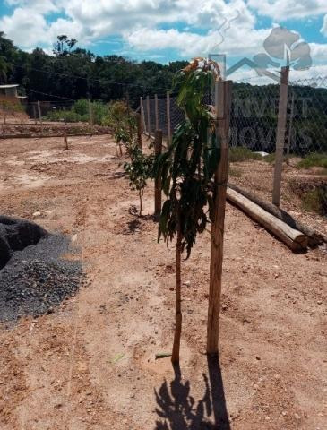 Imagem 8 de 11 de Cód - 6193 - Chácara Em Loteamento Fechado Em Piedade - 6193