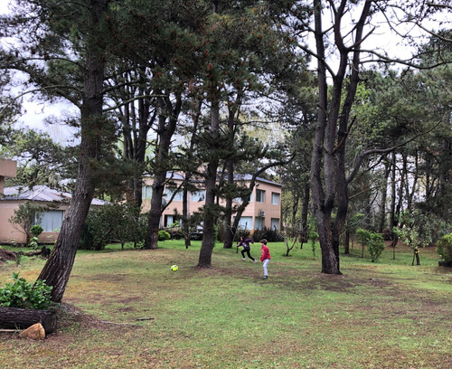 Casa En Costa Del Este Zona Arbolada Y Tranquila. Disponibilidad Y Precios En Descripción.