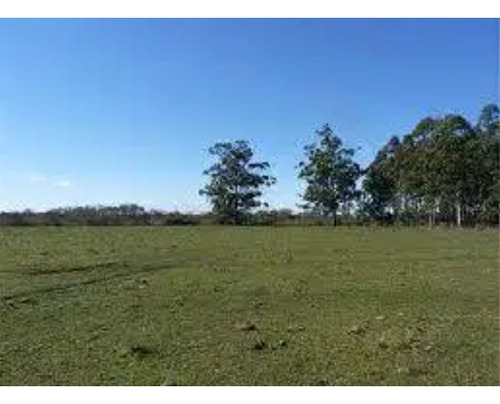 Campo 22 Hectareas A 18 Km De Mar Del Plata