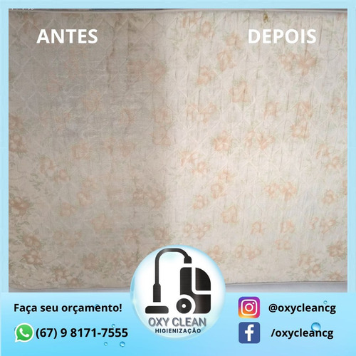 Imagem 3 de 4 de Limpeza E Higienização De Estofados (lavagem À Seco)