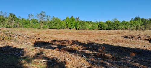 Terreno Construccion En Venta En San Carlos