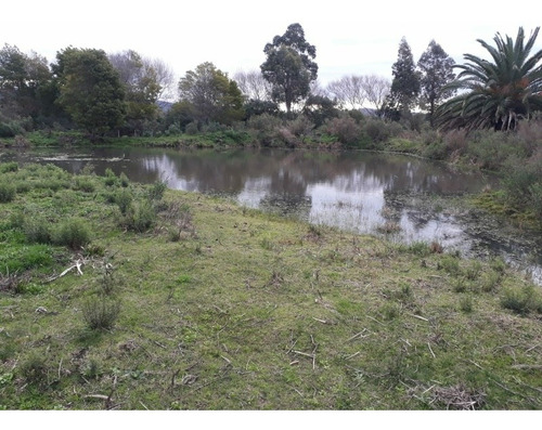Campo De 6 Has 932 M 2 Ubicado En Ruta 60