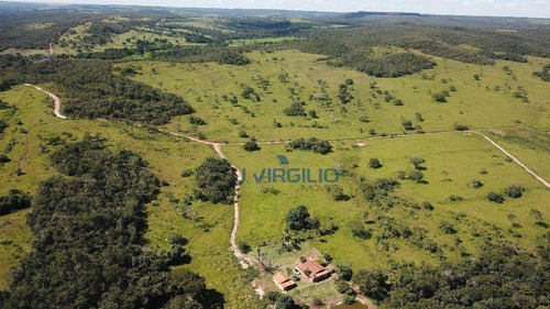 Imagem 5 de 20 de Faz. Luziania Com Água, Nascente Corumbá - Fa0007
