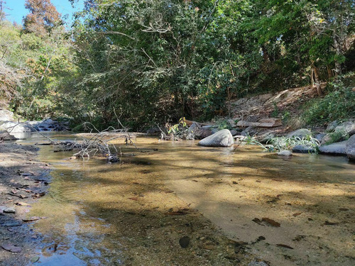 Imagen 4 de 12 de Terreno En Venta Los Pinares El Tuito