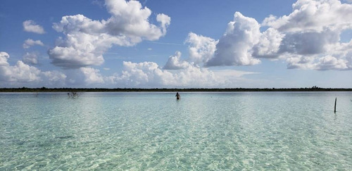 Imagen 1 de 15 de Increíble Lote En Venta Con 270 M Lineales De Laguna De Bacalar C1314