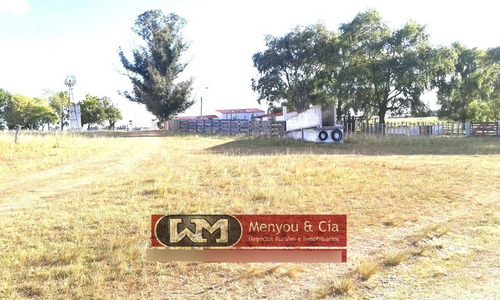 Venta Campo Florida 720 Has Agrícola Ganadero Completo