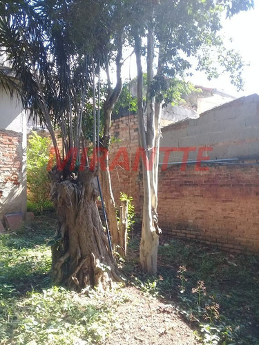 Imagem 9 de 14 de Terreno Em Casa Verde - São Paulo, Sp - 320307