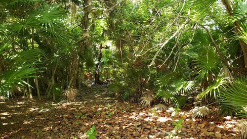 Imagen 12 de 29 de Terreno En Venta Punta Sam, Isla Mujeres