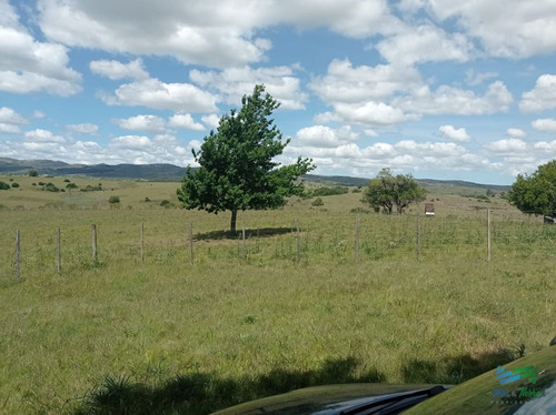 Imagen 14 de 20 de Vendo Chacra 5 Hectateas Con Casa En Ruta 39, Las Cañas - Las Cañas Las Cañas