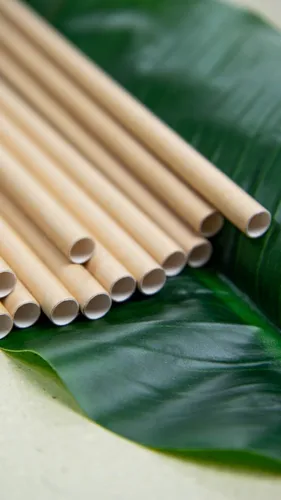 Sorbitos Ecologico Pack X 100 Sorbitos Biodegradable 20 Cms Marrón Claro
