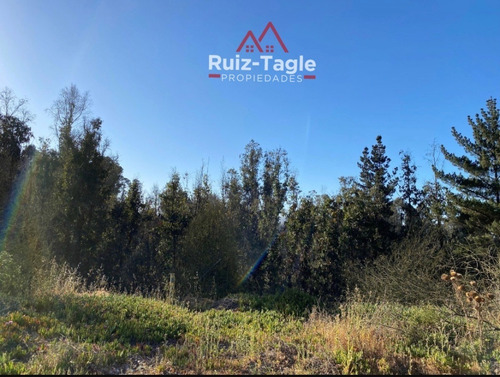 Imagen 2 de 3 de Terreno En Los Pinos 10.000 M². Subdivide En Lotes De 500 M²