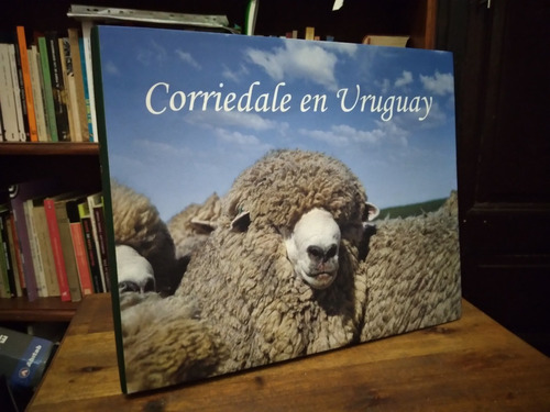 Corriedale En Uruguay- Grabiela Cabrera De Carrau