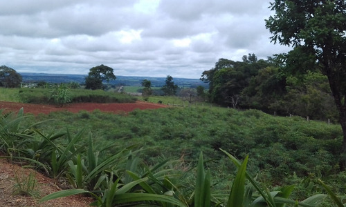 Imagem 5 de 8 de Terreno Para Posto Gasolina Ou Lanchonete