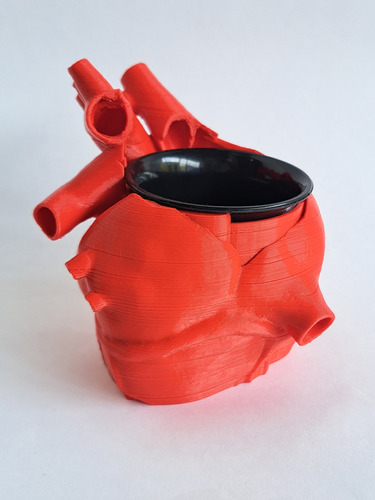 Mate Corazón Anatómico 3d