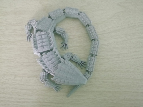 Lagarto Armadillo (espinoso) Articulado