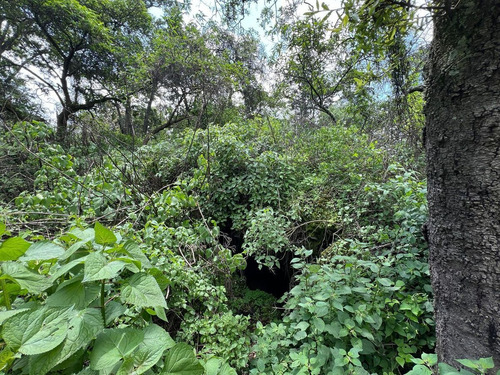 Terreno En Venta En Amecameca