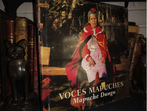 Voces Mapuches. Mapuche Dungu - Museo Chileno De Arte Precol