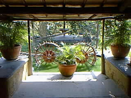Imagen 3 de 7 de Oportunidad Finca Aviario Aguirre