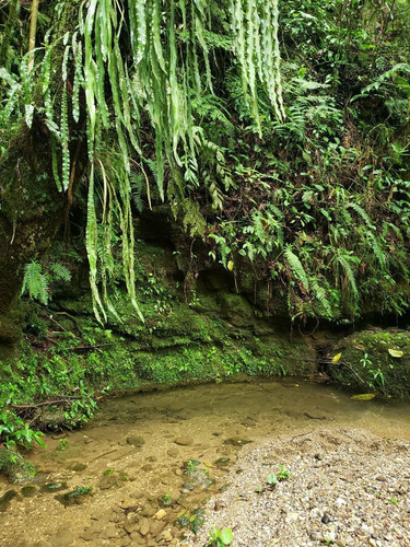 Rancho Entre Nubes Y Montañas En Cuetzalan Puebla