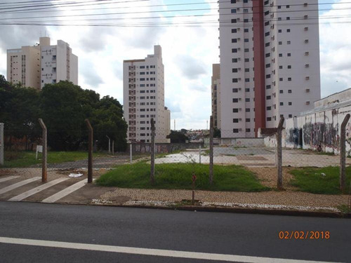 Imagem 3 de 4 de Terrenos - Ref: L241