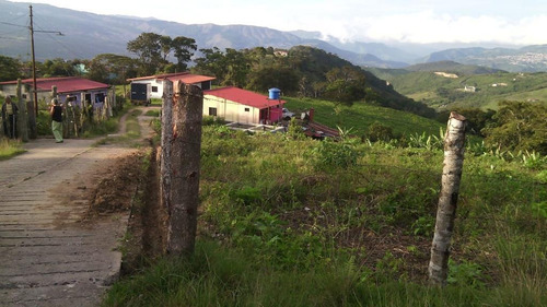 Terreno A La Venta En El Páramo Edo. Táchira