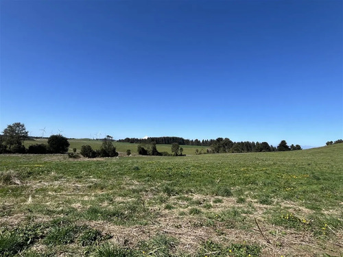 Parcela En Venta En Camino Loncotoro Llanquihue