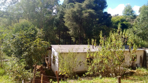Sitio Com 50.000 Metros Quadrados Em Caxambu Sul De Minas , 09 Klm Da Cidade, Muita Água,bom Para Piscicultura, 03 Lagos Com Peixe. - 246